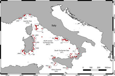 Structure and status of the Italian red coral forests: What can a large-scale study tell?